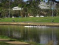 /album/half-marathon-14-10-12/cimg8101-jpg/